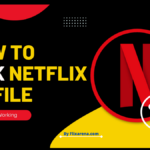Lock Netflix profile